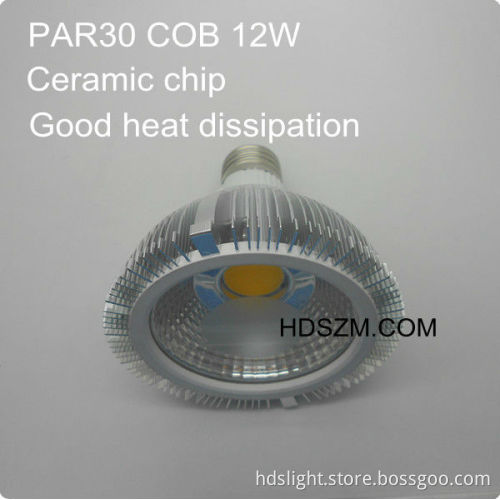 E27 PAR30 12W